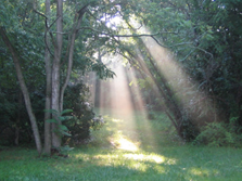 Coppice Counselling